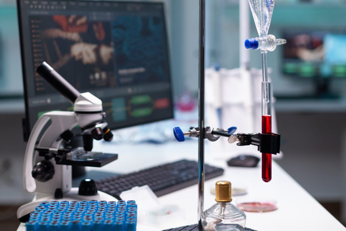 lab